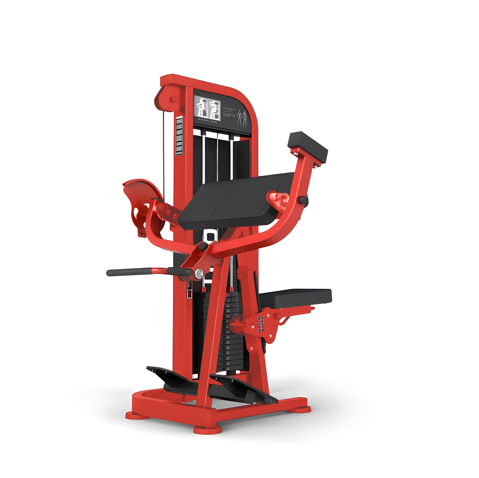 CP6011 Arm Curl