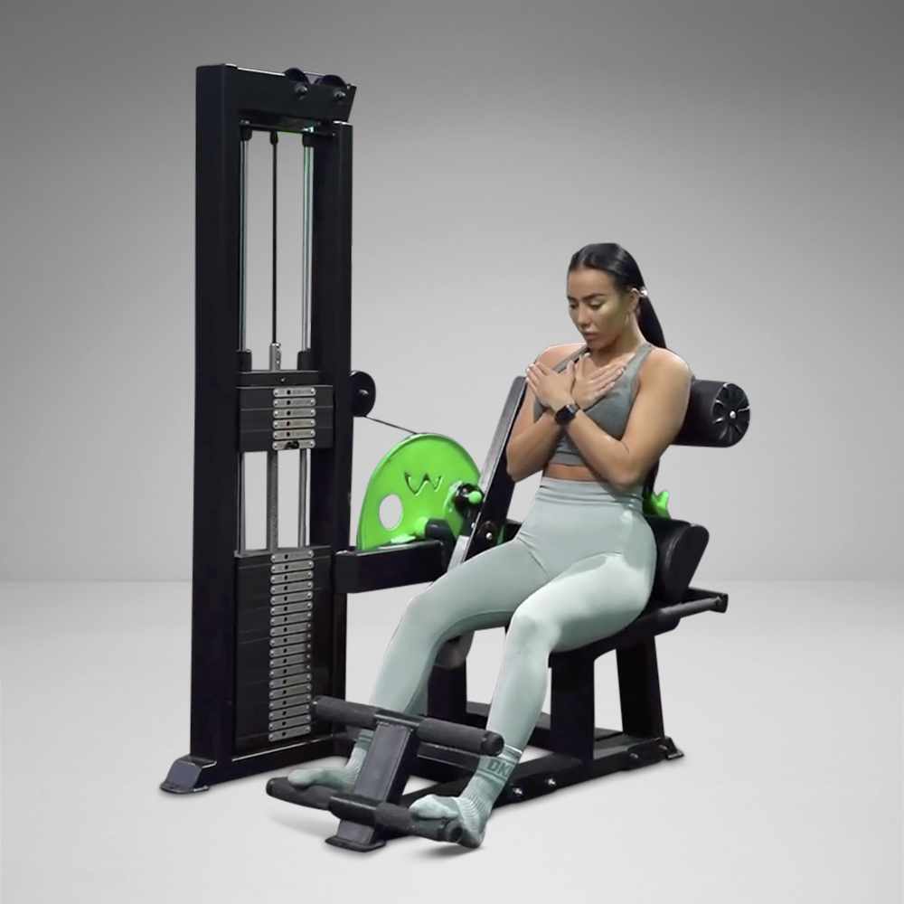 Single Stack Back Extension