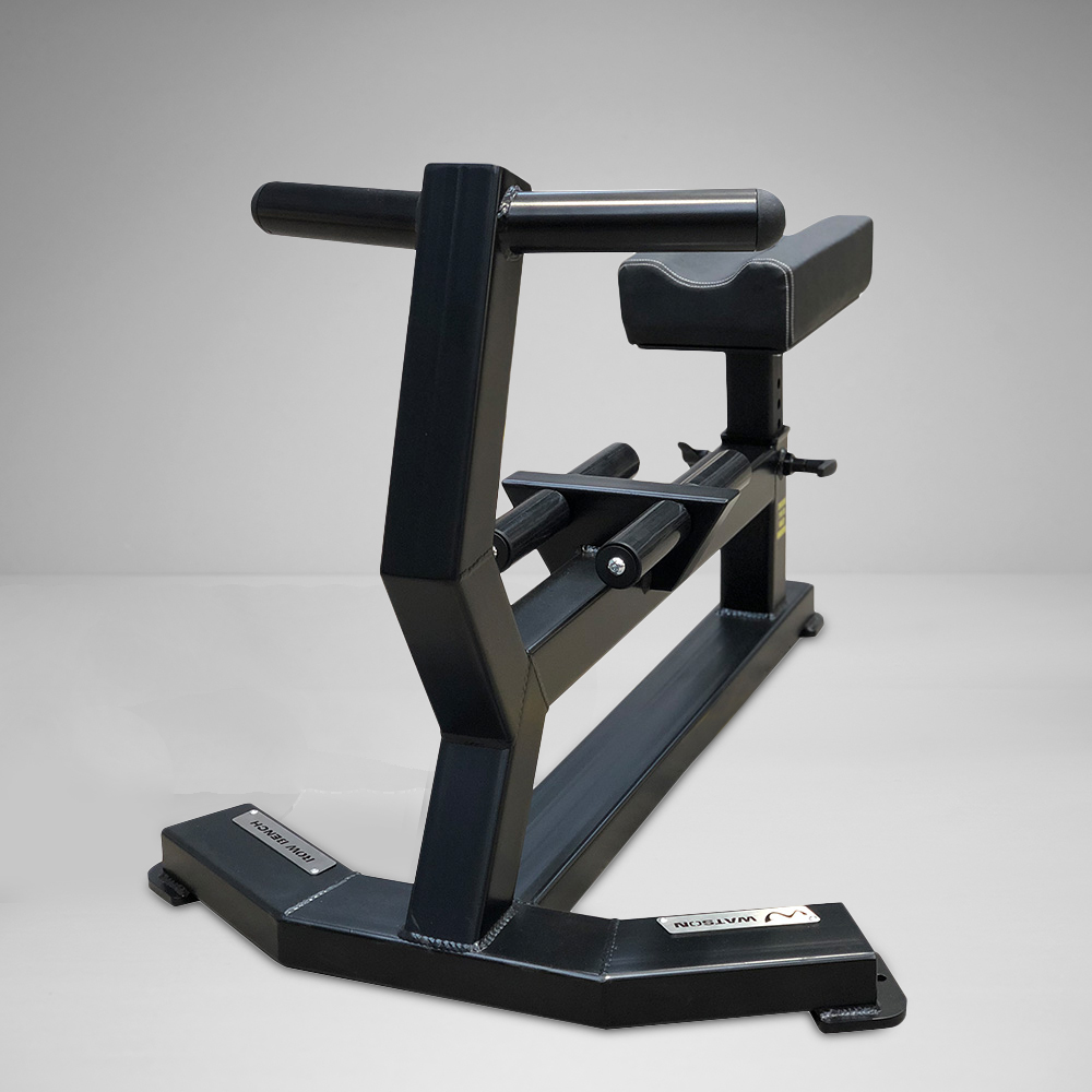 Dumbbell Row Bench
