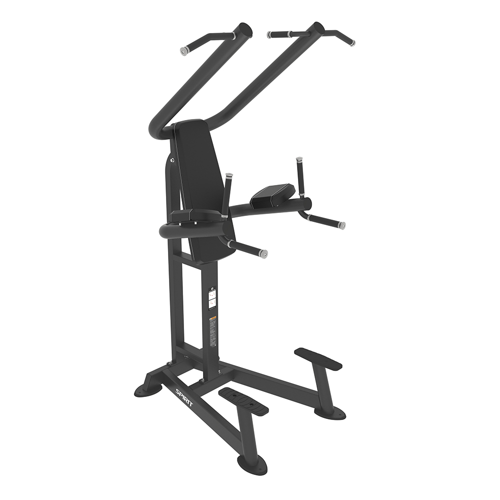 CHIN / DIP / LEG RAISE