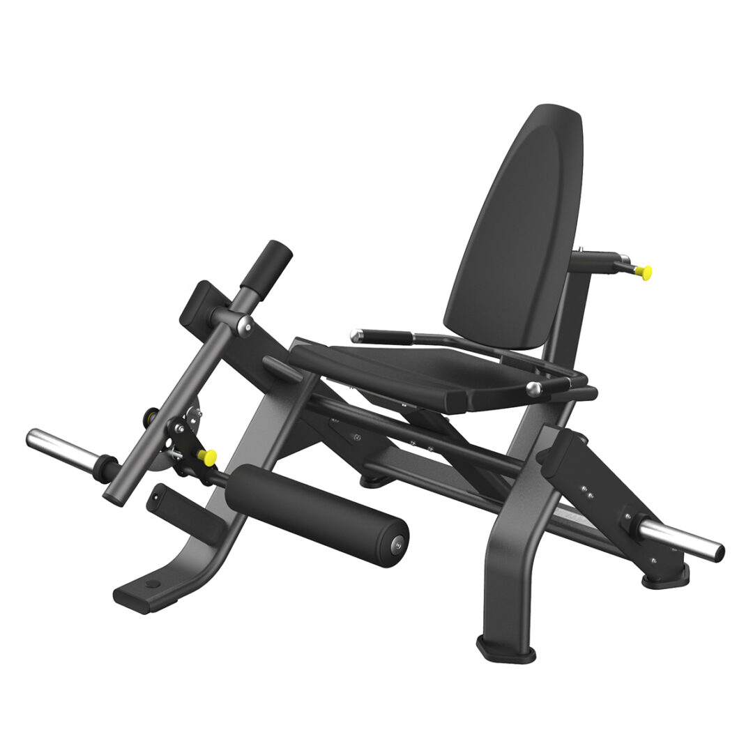 LEG EXTENSION