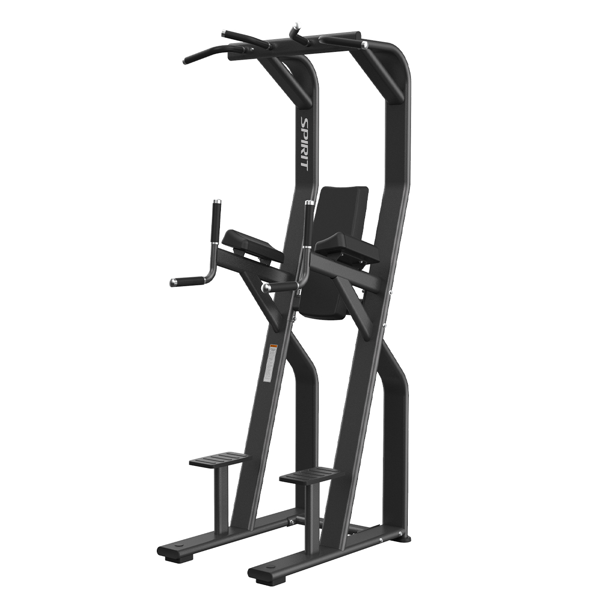 CHIN-DIP/LEG RAISE