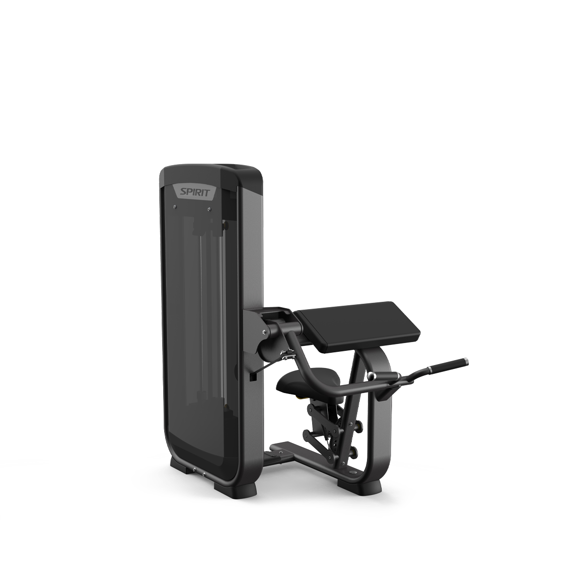 SEATED BICEPS CURL - Image 2