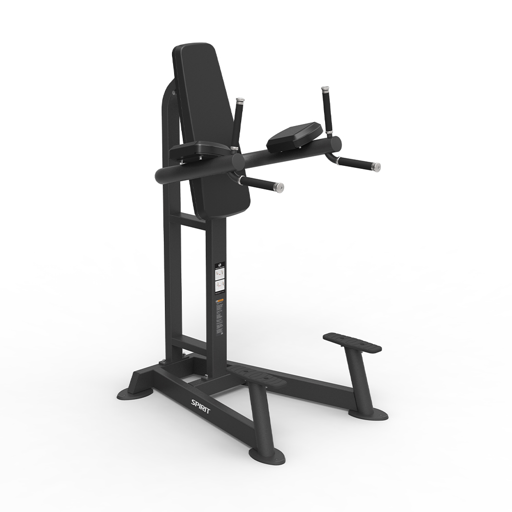LEG RAISE / DIP