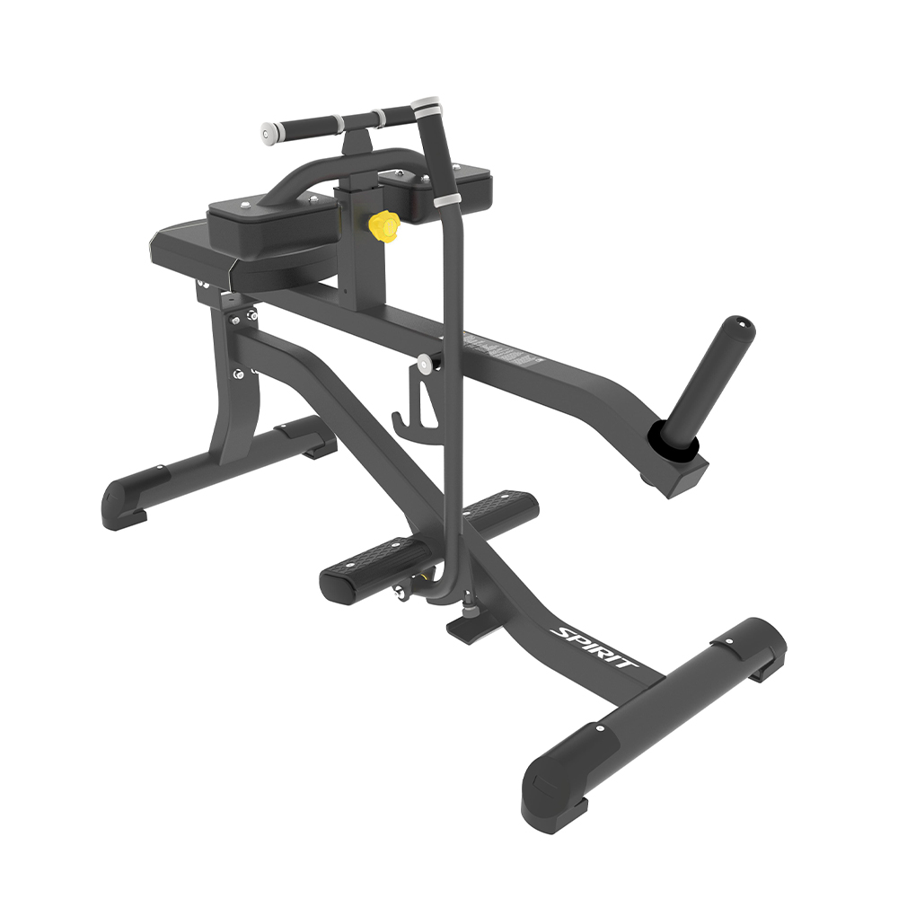 SEATED CALF