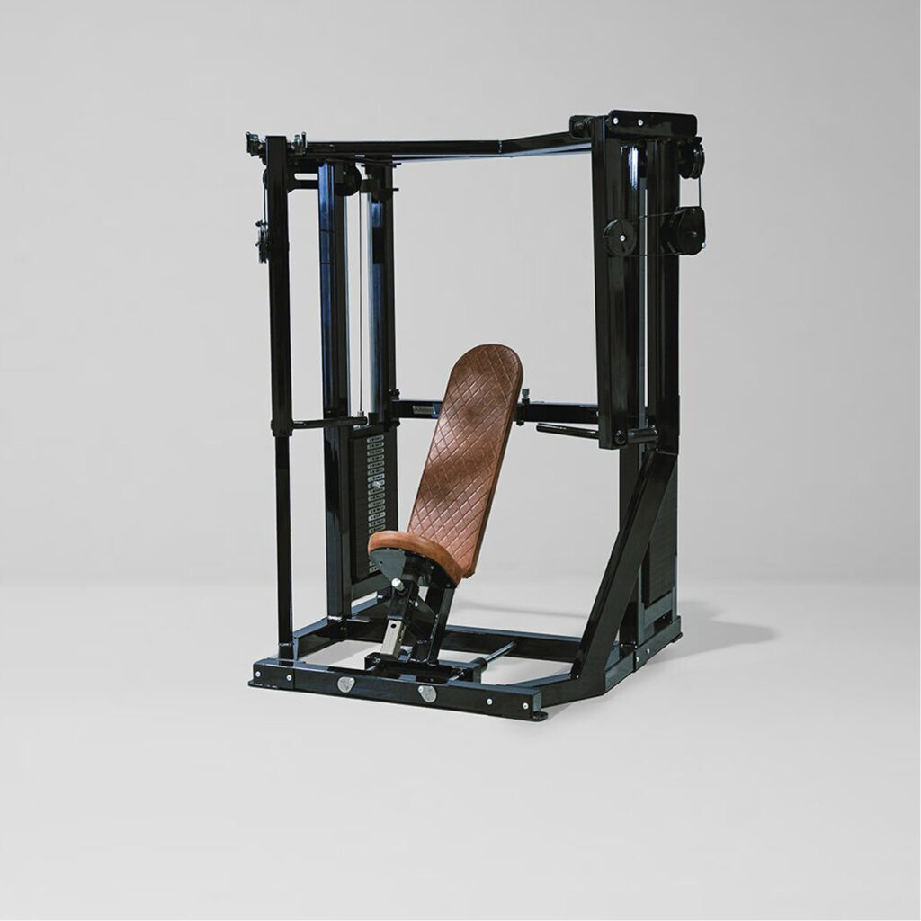 Animal Dual Stack Decline Chest Press